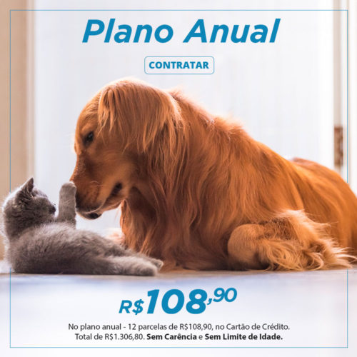 PLANO ANUAL
