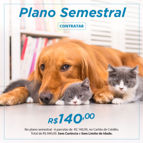 PLANO SEMESTRAL
