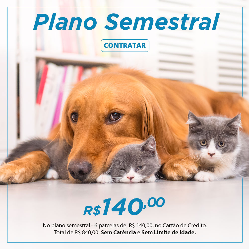 PLANO SEMESTRAL